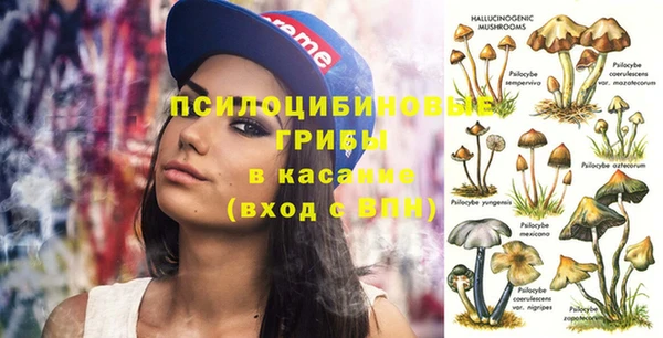 сатива Абаза