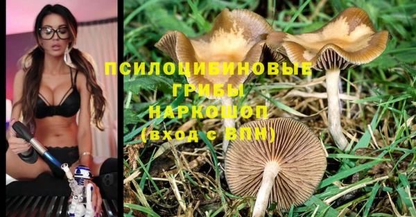 амфетамин Алексеевка