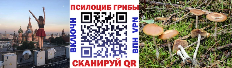 Псилоцибиновые грибы мухоморы Талдом