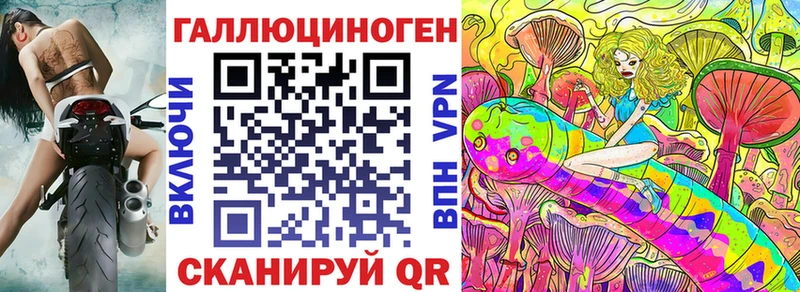 Псилоцибиновые грибы Psilocybe  Талдом 